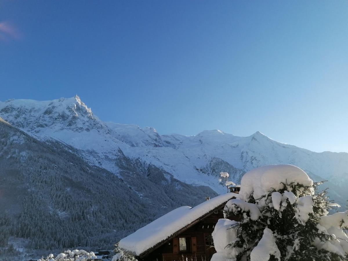 Chalet Erminea Шамони Экстерьер фото