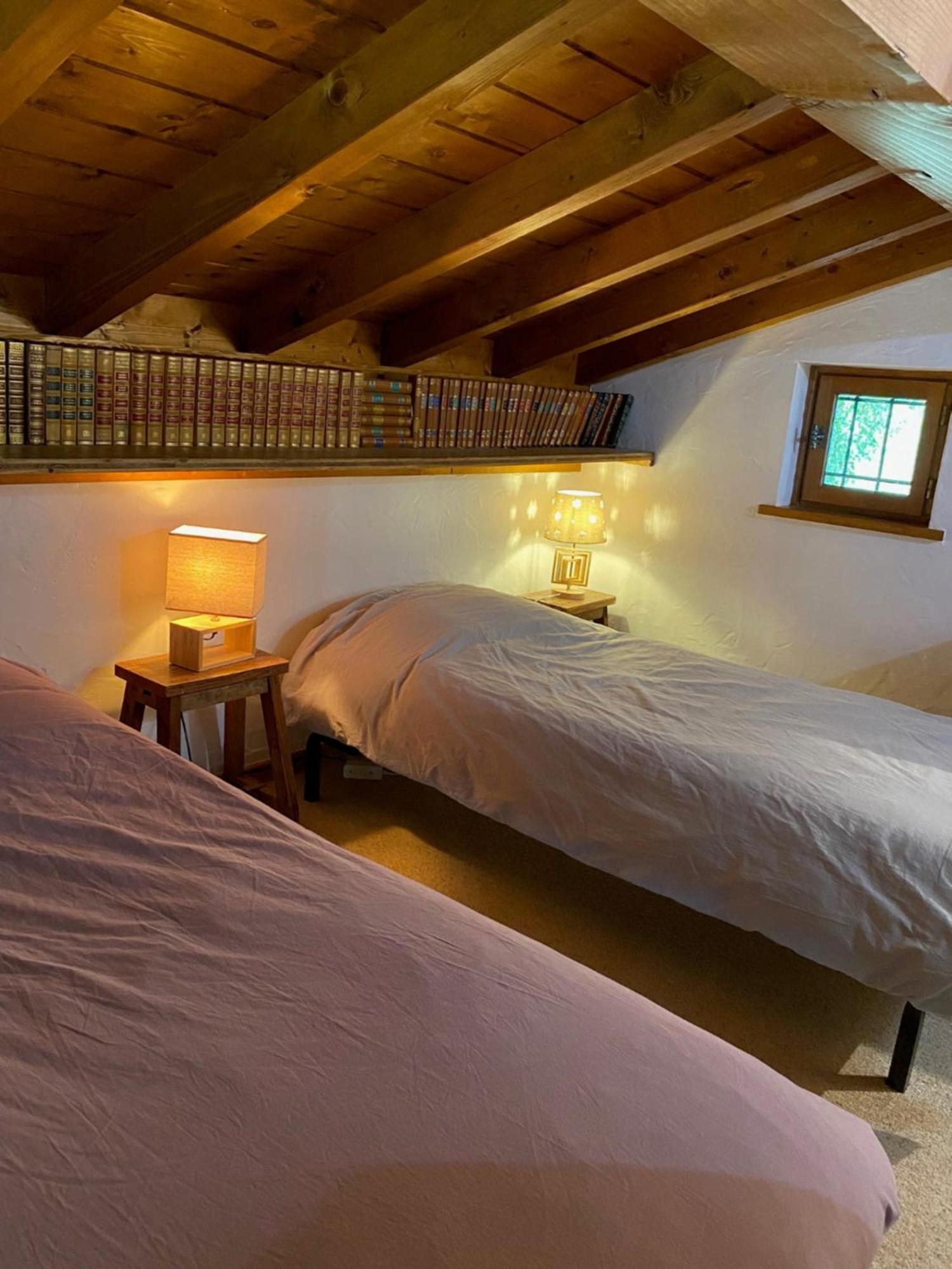 Chalet Erminea Шамони Экстерьер фото